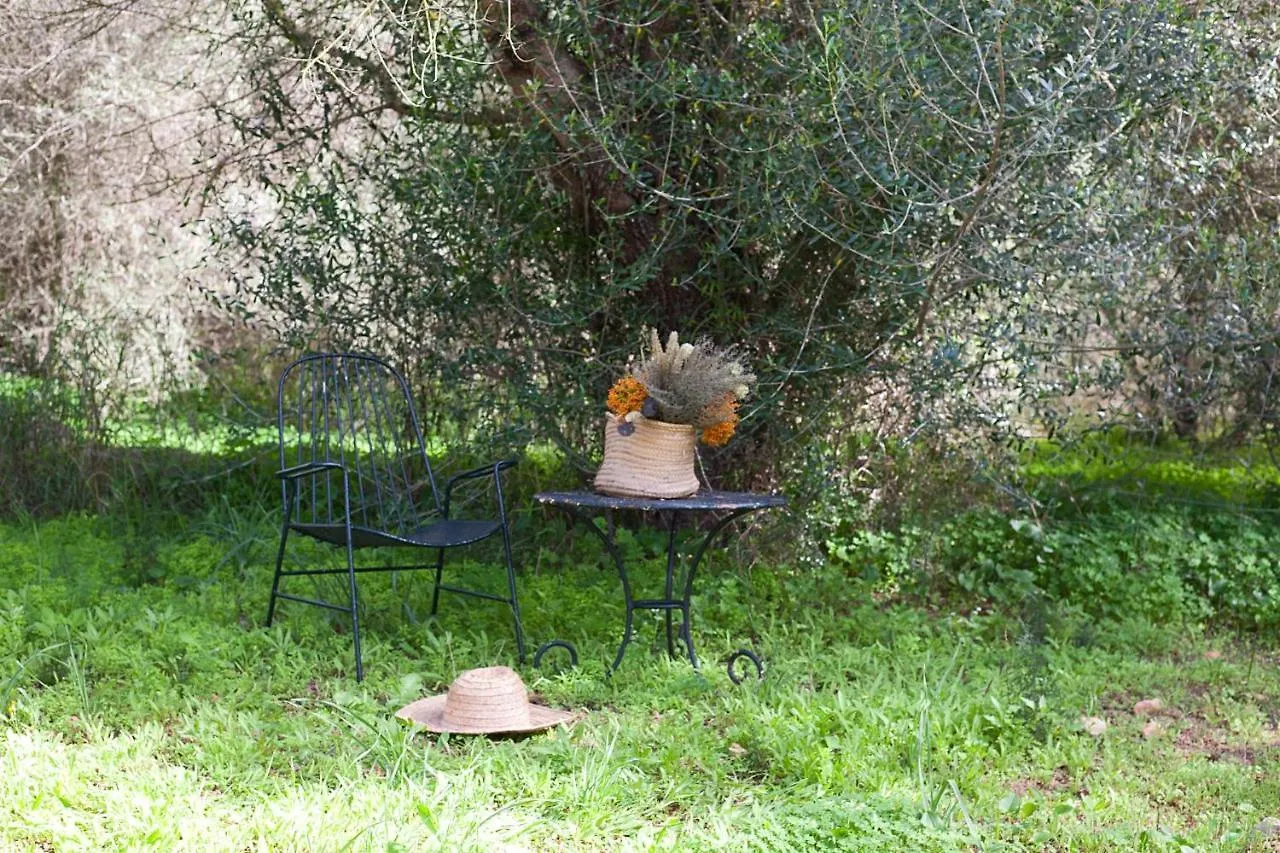 Finca Son Sureda Agroturismo Manacor  Vakantieboerderij Manacor (Mallorca)